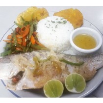 WHOLE SNAPPER