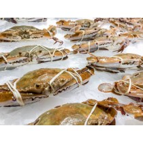 Soft Shell Crab