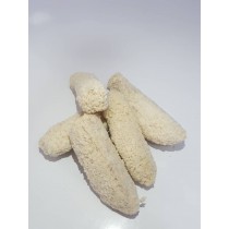 Frozen fish Sticks