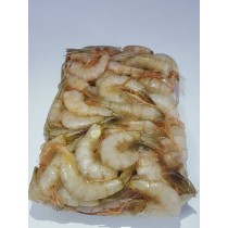 Medium Shrimp