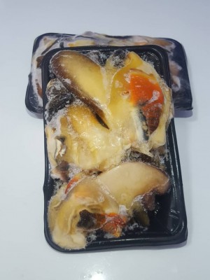 Uncleaned Conch
