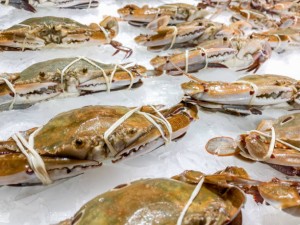 Soft Shell Crab